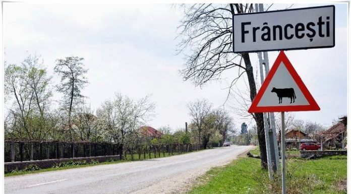 Internet gratuit în comuna lui Brâncuși