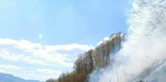 Incendiile distrug pădurile Gorjului. Suntem în top 3!