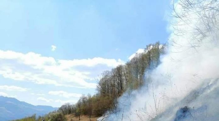 Incendiile distrug pădurile Gorjului. Suntem în top 3!