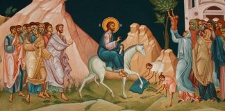 Lumina, şi Adevărul, şi Viaţa – Dumnezeu adevărat din Dumnezeu adevărat, intră acum pe Calea Ierusalimului pământesc, ca să ne arate că El este Calea bucuriei Ierusalimului Ceresc!