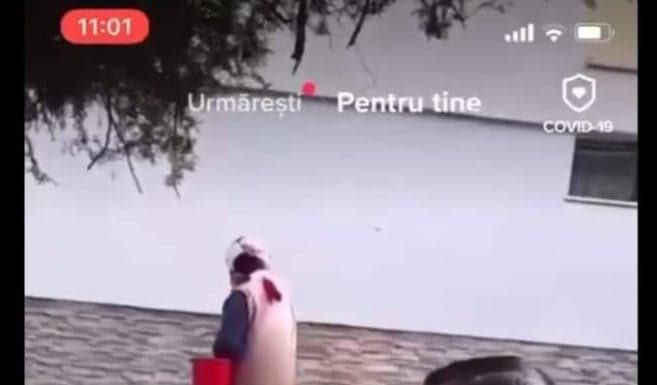 Amendă de 1000 de lei pentru ,,lecția” civică a lui Limbă!