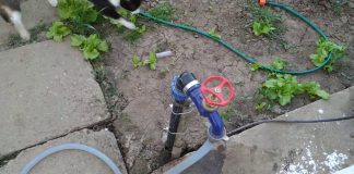 Apă raționalizată la Scoarța! Ar fi suficientă, dacă nu ar fi folosită la udat grădinile!