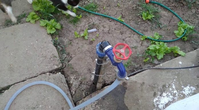 Apă raționalizată la Scoarța! Ar fi suficientă, dacă nu ar fi folosită la udat grădinile!