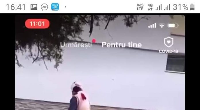 Video: ,,Limbă” a dat dovadă de simț civic! Polițiștii l-au amendat