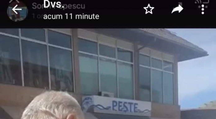 Video: Scandal în Piaţa Centrală, patronii unei carmangerii îi fac șpăgari pe inspectorii DSV