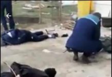 Video: Polițiștii au culcat la pământ scandalagii!