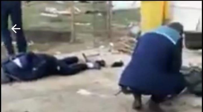 Video: Polițiștii au culcat la pământ scandalagii!