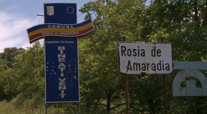Zeci de localnici din Roșia de Amaradia, la muncă în Germania!