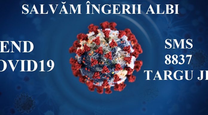 Peste 270 de euro, deja strânși prin campania sms ”Salvăm Îngerii Albi”