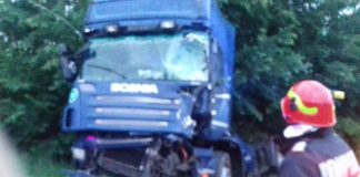 Un tir a lovit mortal o căprioară, la Scoarța