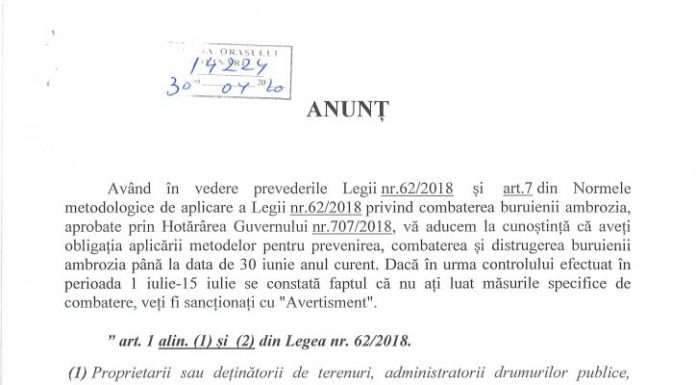 Apel către rovinăreni: obligativitatea combaterii ambroziei