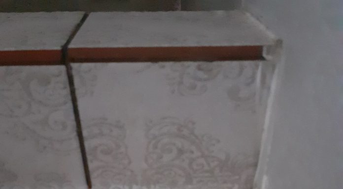 Video: Carantinați ,,serviți” cu goange și ploșnițe! La Pensiunea Golden din Târgu-Jiu, centru de carantină acreditat de DSP