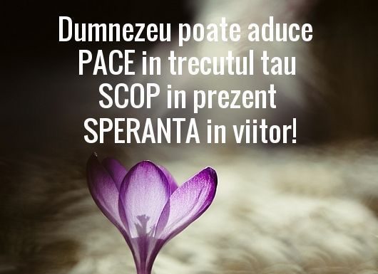 Educaţia…şi Lecţia de viaţă – Cei mai mulți dintre noi împart omul în trup și suflet, dar, trebuie adăugată și mintea omului!