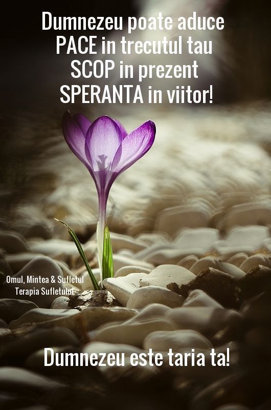 Dumnezeu este in trupul, in sufletul si in mintea omului