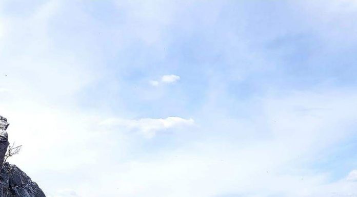 Salvamont Gorj continuă întreținerea traseelor turistice montane