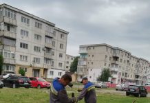 Lucrări la canalizarea menajeră din Rovinari