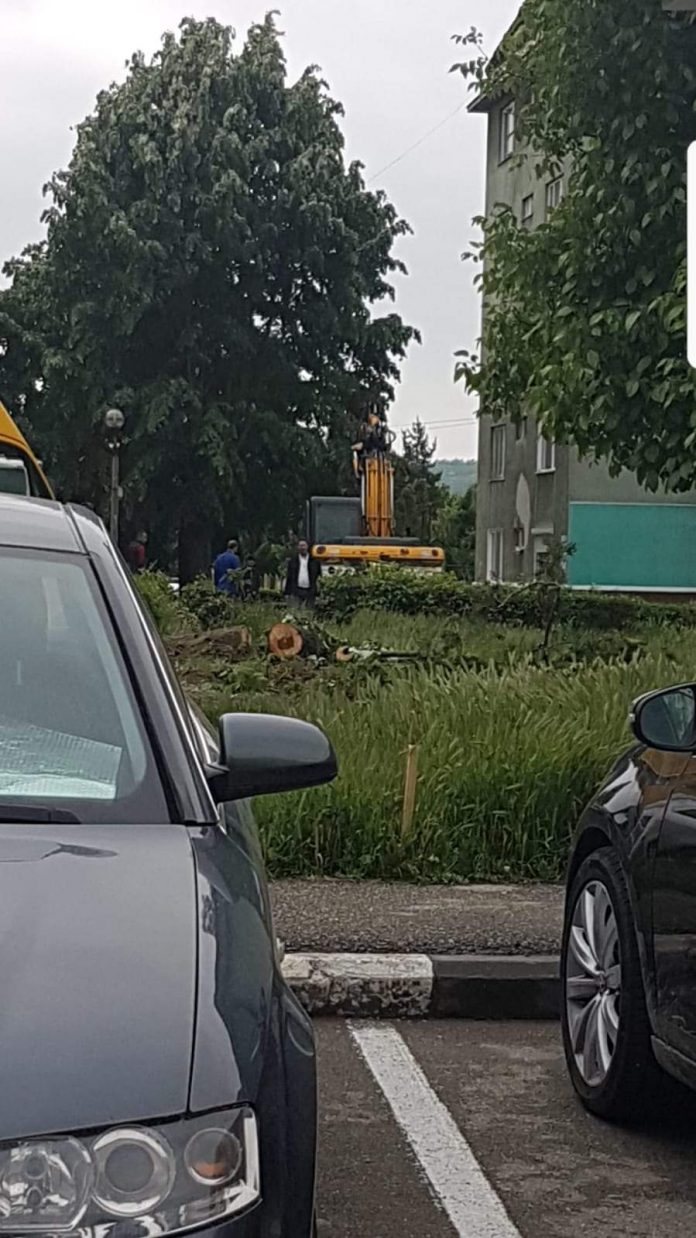 FB_IMG_1589831935656