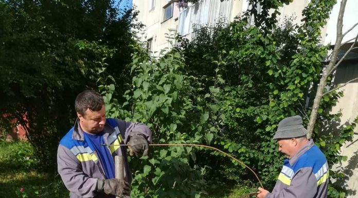 Lucrări la rețeaua de canalizare din Rovinari