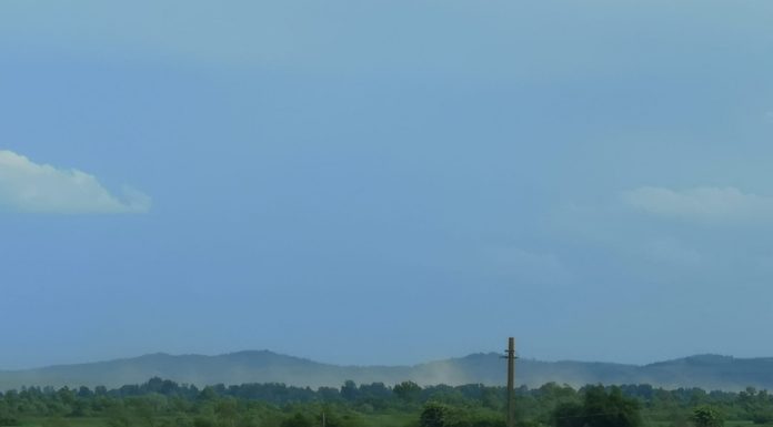 Vântul face probleme în zona Turceni