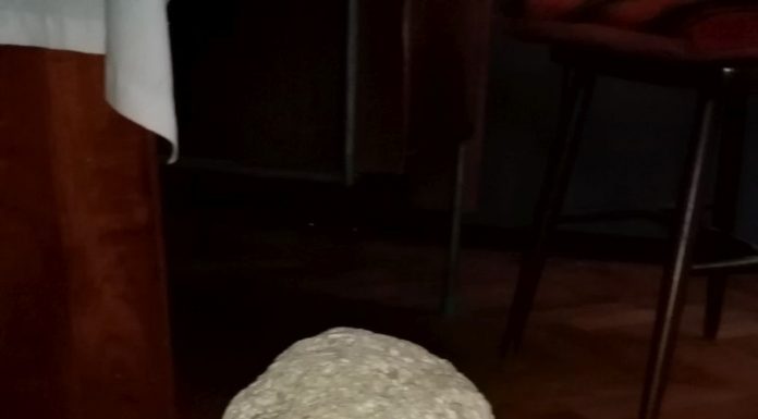 Capul feminin de statuie, bun de patrimoniu național, a ajuns la Muzeul Județean Gorj! Obiectul a fost predat, de tatăl deputatului Rotaru, Direcției de Cultură