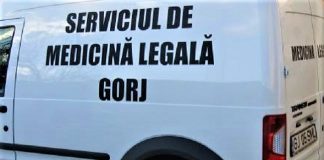 Târgujian mort, după ce a fost lovit de un autoturism