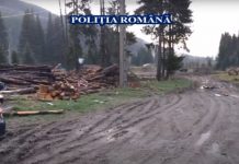 Primele rețineri în urma perchezițiilor făcute în patru județe! Un administrator din Gorj, la audieri