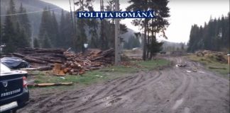 Primele rețineri în urma perchezițiilor făcute în patru județe! Un administrator din Gorj, la audieri