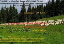 Ediția din acest an a Festivalului ,,Urcatul oilor la munte” se mută în mediul online!