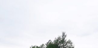 Arunca rumeguș lângă Gilort. Amendă de 40.000 lei!