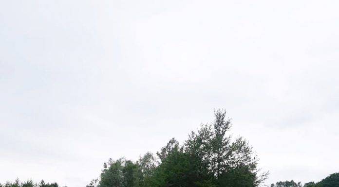 Arunca rumeguș lângă Gilort. Amendă de 40.000 lei!