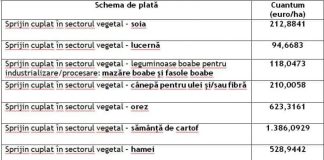 APIA: S-a demarat autorizarea la plată pentru sectorul vegetal!