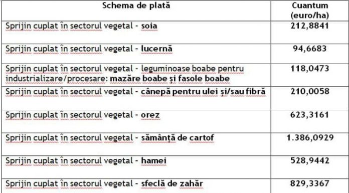 APIA: S-a demarat autorizarea la plată pentru sectorul vegetal!