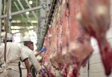 Amendă de 40.000 de lei pentru un abator, unde s-au sacrificat mieii de Paște din Gorj