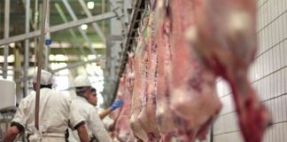 Amendă de 40.000 de lei pentru un abator, unde s-au sacrificat mieii de Paște din Gorj