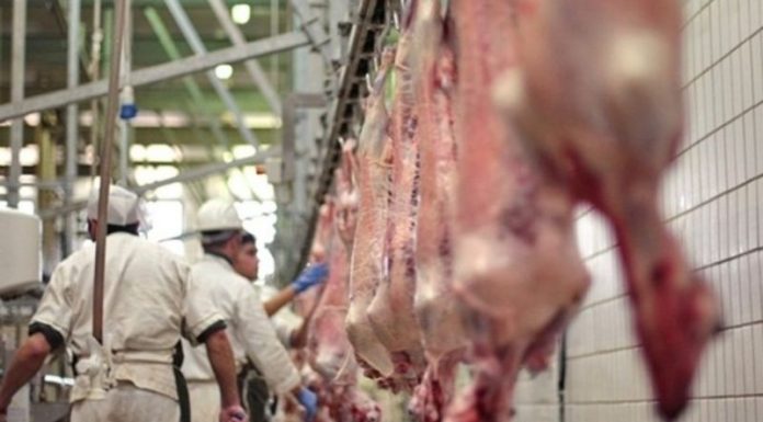 Amendă de 40.000 de lei pentru un abator, unde s-au sacrificat mieii de Paște din Gorj