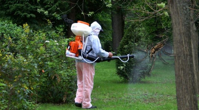 Dezinsecție la Rovinari