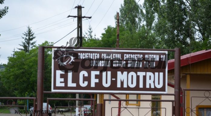 Jumătate dintre salariații ELCFU Motru cer CEO salarizare corespunzătoare pentru lucrătorii din transportul feroviar de cărbune