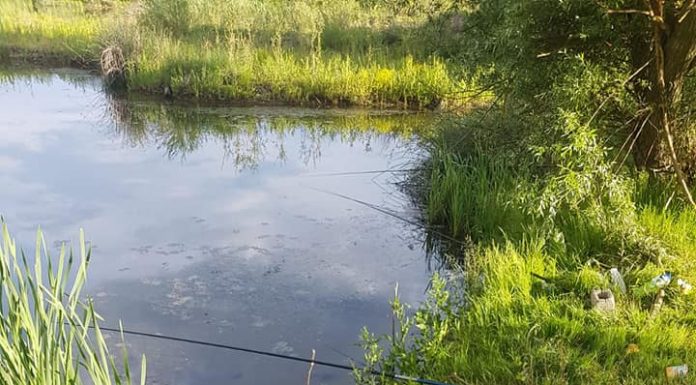 Prinși la pescuit în perioada de prohibiție