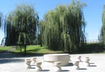 Parcurile din județ au fost redeschise publicului! Spațiile de joacă, încă închise!