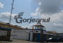 După vizita intimă, carantină pentru deținuți! – Noi modificări la Penitenciarul Târgu-Jiu! Vizitele sunt permise cu dispozitive de protecție