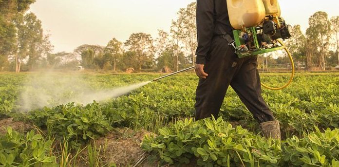 Agricultura pe înțelesul tuturor – Protecția fitosanitară a legumelor