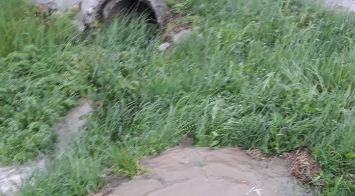 Video: Minune la Buduhala! Canalizarea nu e funcțională de 4 ani dar azi a scos apă!