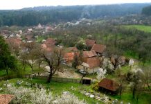 Satul românesc de la esența spiritului strămoșesc, la drama pierderii identității sale