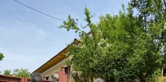 Localnici din Scoarța, ajutați cu apă în vreme de secetă!