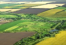 DJS Gorj angajează experţi pentru Recensământul General Agricol