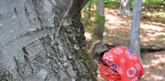 Salvamont Gorj pregătește redeschiderea traseelor turistice din județ