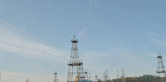 OMW și-a amplasat, ILEGAL, 54 de obiective petroliere în fondul forestier de pe raza Gorjului pentru care trebuie să plătească 5,6 milioane de euro! Dosarul, la Parchetul de pe lângă Tribunalul Gorj!