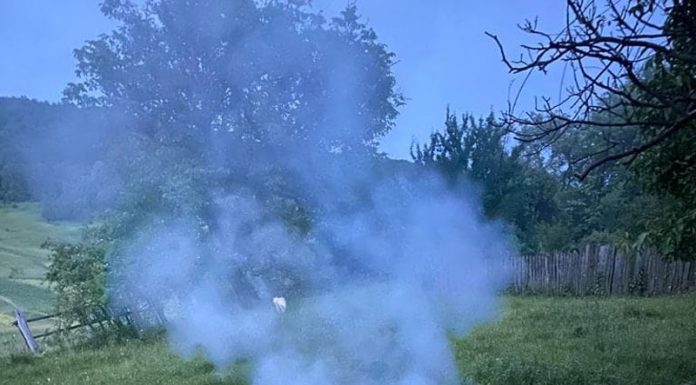 Dumitrașcu, director Salubris Gilort: Containerul a căzut din mașina firmei, salariatul nu trebuia să îi dea foc!