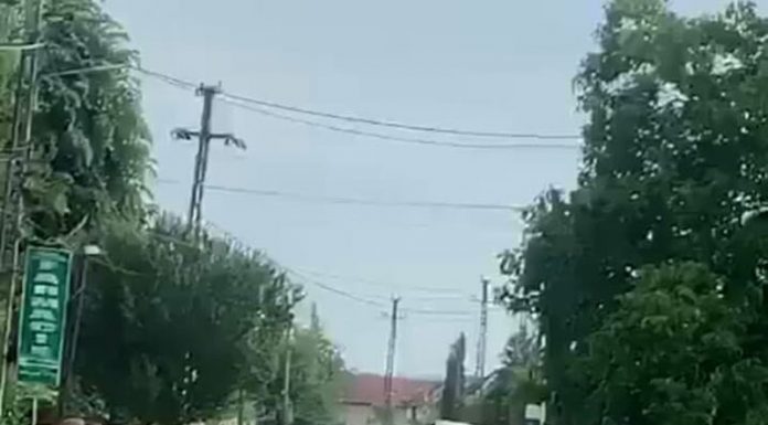 Scandalagiii din Buzău, trimiși în arest preventiv