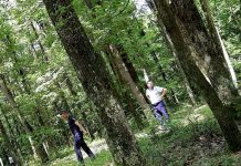 Bătrân rătăcit într-o pădure din Târgu-Cărbunești, găsit după două ore de căutări